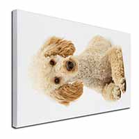 Apricot Poodle Canvas X-Large 30"x20" Wall Art Print