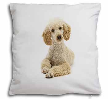 Apricot Poodle Soft White Velvet Feel Scatter Cushion