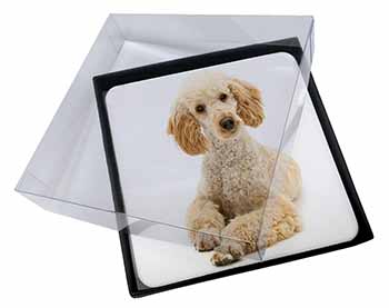 4x Apricot Poodle Picture Table Coasters Set in Gift Box