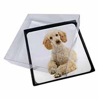 4x Apricot Poodle Picture Table Coasters Set in Gift Box