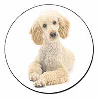 Apricot Poodle Fridge Magnet Printed Full Colour