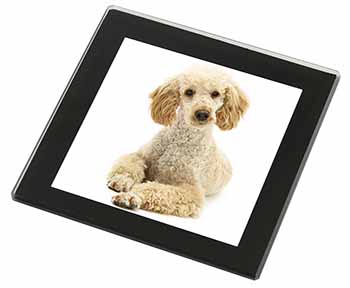 Apricot Poodle Black Rim High Quality Glass Coaster