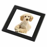 Apricot Poodle Black Rim High Quality Glass Coaster