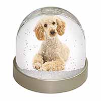 Apricot Poodle Snow Globe Photo Waterball