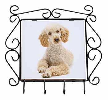 Apricot Poodle Wrought Iron Key Holder Hooks