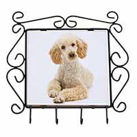 Apricot Poodle Wrought Iron Key Holder Hooks