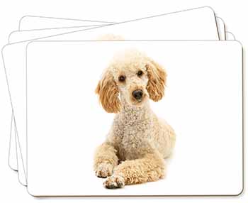 Apricot Poodle Picture Placemats in Gift Box