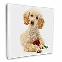 Poodle with Red Rose Square Canvas 12"x12" Wall Art Picture Print