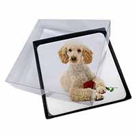 4x Poodle with Red Rose Picture Table Coasters Set in Gift Box