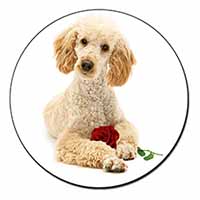 Poodle with Red Rose Fridge Magnet Printed Full Colour