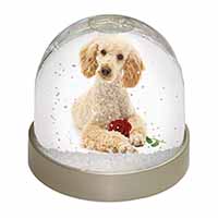 Poodle with Red Rose Snow Globe Photo Waterball