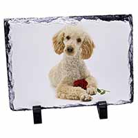 Poodle with Red Rose, Stunning Photo Slate