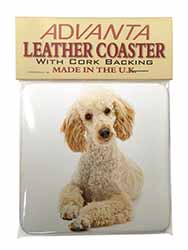 Apricot Poodle Single Leather Photo Coaster