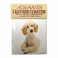 Apricot Poodle Single Leather Photo Coaster