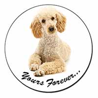 Apricot Poodle "Yours Forever..." Fridge Magnet Printed Full Colour