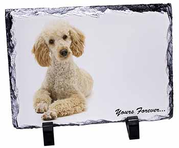 Apricot Poodle "Yours Forever...", Stunning Photo Slate