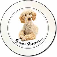 Apricot Poodle "Yours Forever..." Car or Van Permit Holder/Tax Disc Holder