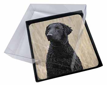 4x Curly Coat Retriever Dog Picture Table Coasters Set in Gift Box