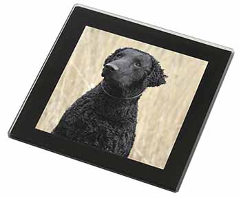 Curly Coat Retriever Dog Black Rim High Quality Glass Coaster