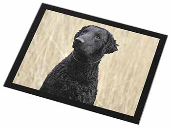 Curly Coat Retriever Dog Black Rim High Quality Glass Placemat