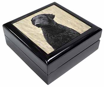 Curly Coat Retriever Dog Keepsake/Jewellery Box