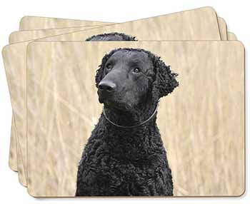 Curly Coat Retriever Dog Picture Placemats in Gift Box