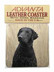 Curly Coat Retriever Dog Single Leather Photo Coaster