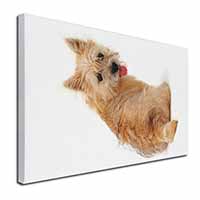 Cairn Terrier Dog Canvas X-Large 30"x20" Wall Art Print