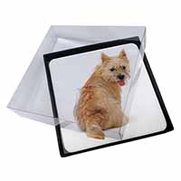 4x Cairn Terrier Dog Picture Table Coasters Set in Gift Box