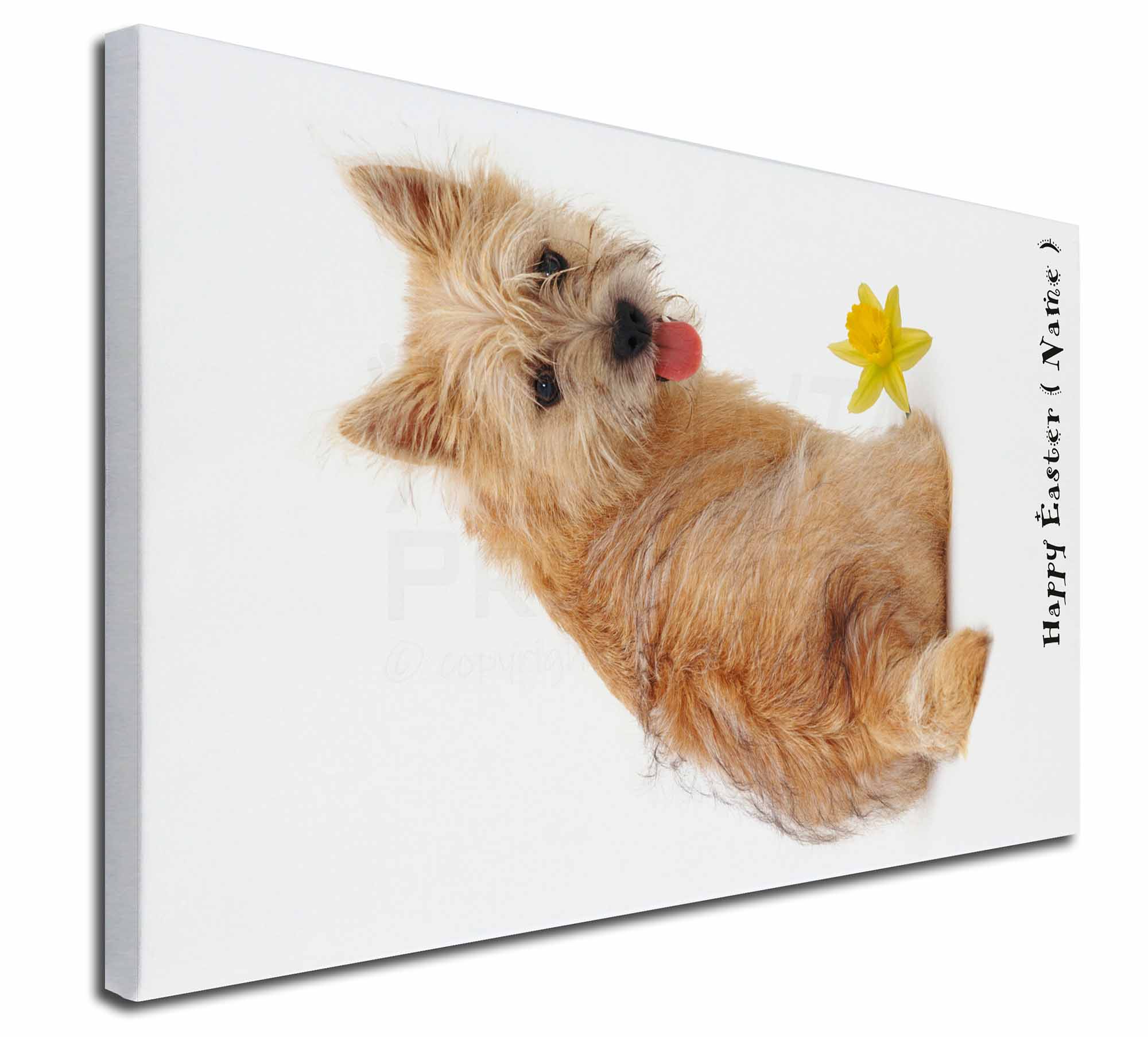 Cairn Terrier Personalised Easter Gift X-Large 30"x20 ...