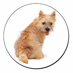 Cairn Terrier Dog Fridge Magnet Printed Full Colour