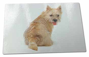 Large Glass Cutting Chopping Board Cairn Terrier Dog