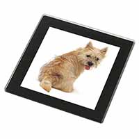 Cairn Terrier Dog Black Rim High Quality Glass Coaster