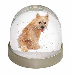 Cairn Terrier Dog Snow Globe Photo Waterball