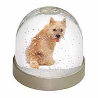 Cairn Terrier Dog Snow Globe Photo Waterball