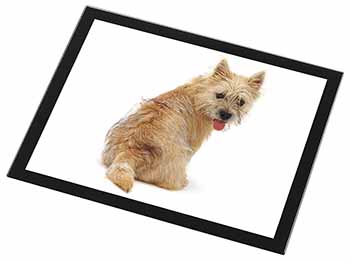 Cairn Terrier Dog Black Rim High Quality Glass Placemat
