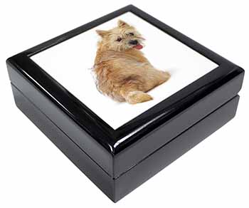 Cairn Terrier Dog Keepsake/Jewellery Box