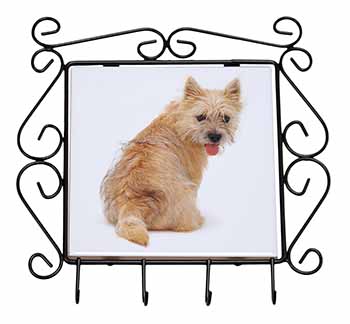 Cairn Terrier Dog Wrought Iron Key Holder Hooks