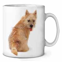 Cairn Terrier Dog Ceramic 10oz Coffee Mug/Tea Cup