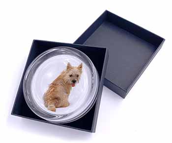 Cairn Terrier Dog Glass Paperweight in Gift Box