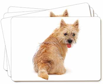 Cairn Terrier Dog Picture Placemats in Gift Box