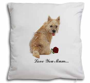 Cairn Terrier+Rose 