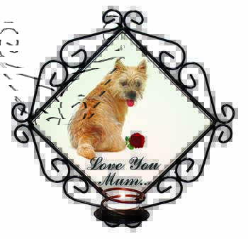 Cairn Terrier+Rose 