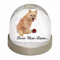 Cairn Terrier+Rose 