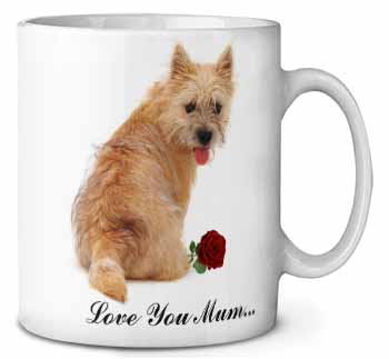 Cairn Terrier+Rose 