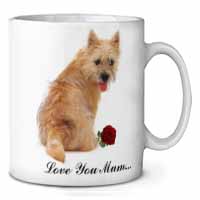 Cairn Terrier+Rose 