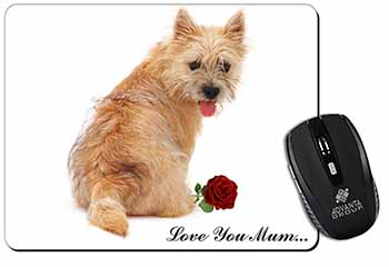 Cairn Terrier+Rose 