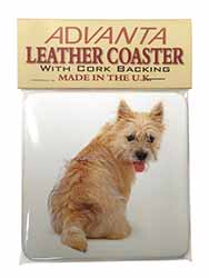 Cairn Terrier Dog Single Leather Photo Coaster