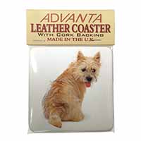 Cairn Terrier Dog Single Leather Photo Coaster