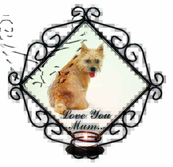 Cairn Terrier Dog 